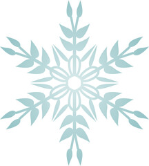 Snowflake Crystal in Winter