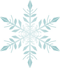 Snowflake Crystal in Winter