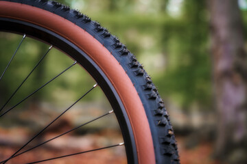 Mountain bike front wheel detail. Side shot of mountain bike. Mountain bike tire.