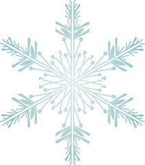 Snowflake Crystal in Winter