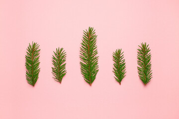 Festive Christmas background made of natural fluffy green fir branches on a soft pink background. Fashionable simple minimalistic Christmas template in neutral pastel colors.