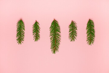 Festive Christmas background made of natural fluffy green fir branches on a soft pink background. Fashionable simple minimalistic Christmas template in neutral pastel colors.