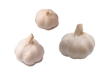 Garlic isolated on a white background.