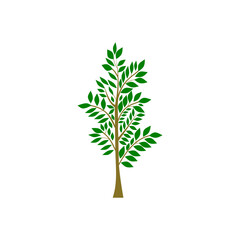 Tree icon Nature symbol graphic design.