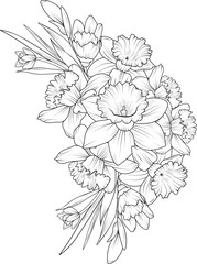 Daffodil flower drawing, vector sketch hand-drawn illustration, blossom narcissus flower bouquets, coloring book, and page isolated on white background. 