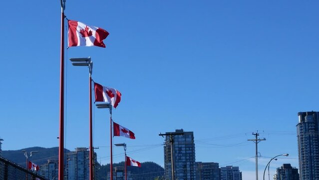 The motion of the Canadian flag flying on flagpoles in a blue sky to celebrate Canada's 150 years