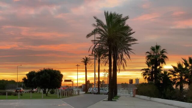 Beautiful morning sunrise behind some palm trees near a marginal road in the Atlantic Ocean at Carcavelos, Portugal coast.
