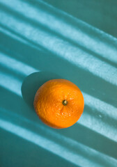 Ripe orange fruit on sunlit blue background with shadows. Minimal style summer concept. Top view - 552278339