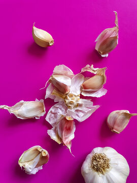 Fresh garlic with bulb and cloves on vibrant pink background. Top view minimal concept