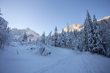 Fototapeta na wymiar Kranjska Gora in Slovenia, winter landscape