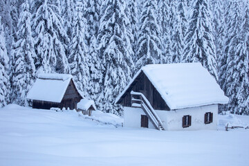 Fototapeta na wymiar Kranjska Gora in Slovenia, winter landscape