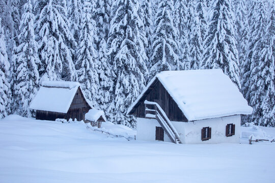 Kranjska Gora In Slovenia, Winter Landscape