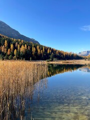 Stazersee bei St.Moritz