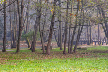 Autumn in A Park in Bosnia.
