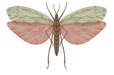  magical forest elements. images of a snake, night moth, fly agaric mushrooms, plant and space elements. Ideal for printing on fabric or clothing, wallpaper and wrapping paper