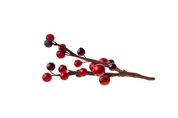 branches of red berries. christmas tree branch, isolated on transparent background png. Christmas decoration red berries holly - Powered by Adobe