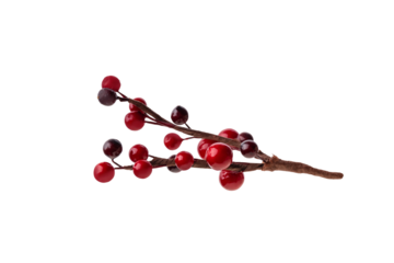 branches of red berries. christmas tree branch, isolated on transparent background png. Christmas decoration red berries holly