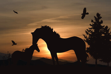 Vector silhouette of horse on sunset background.