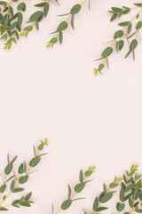 Eucalyptus branches on a beige background. Place for your design.