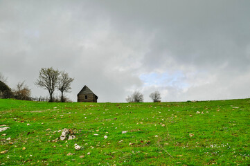 Landscape with house and meadow.