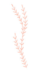 plants and flowers. magic sacred illustration in vintage retro engraving style