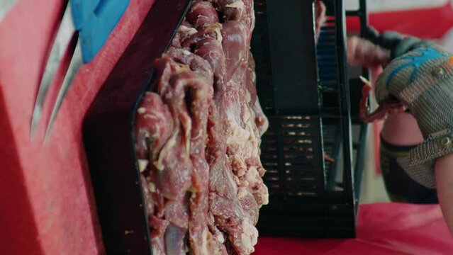 Vertical Screen: Male worker hands arranging raw lamb meat loins on tupperware ready to be sold in market. Lamb meat chops on display. Food industry content.