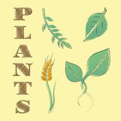Plants vector