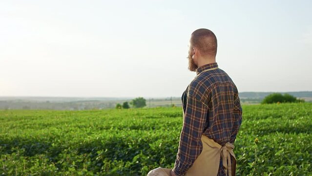 Back view of young farmer standing on plantation, having break. Man wearing plaid shirt and apron, taking off cap, looking on field, admiring. Concept of working in countryside.
