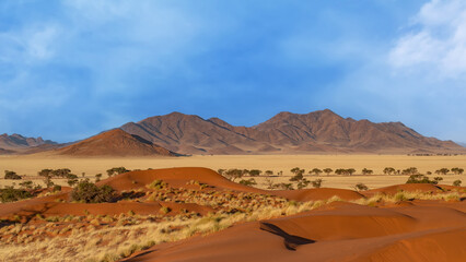 Fototapeta na wymiar Desert landscape with acacia trees and mountains, NamibRand Nature Reserve, Namib, Namibia, Africa