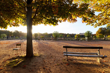  Luxembourg garden inthe 6th arrondissement of  Paris city - obrazy, fototapety, plakaty