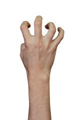 Male hand gestures isolated 