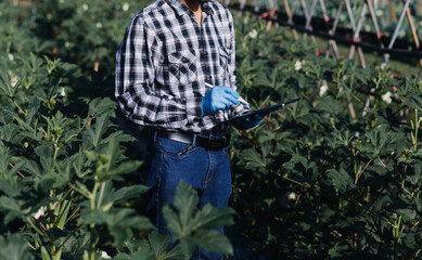 Obraz premium female farmer working early on farm holding wood basket of fresh vegetables and tablet.