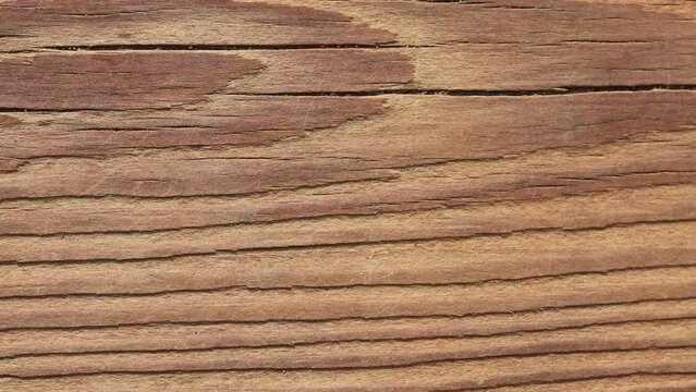 Wood texture seamless loop. Wooden board background. Macro closeup.