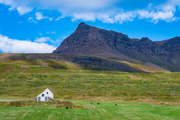 Landscape of the East Fjords (Iceland)