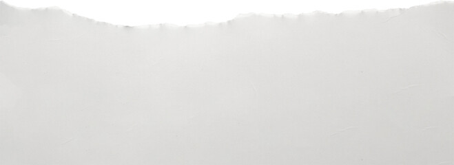 Obraz premium White ripped paper torn edges strips isolated on white background