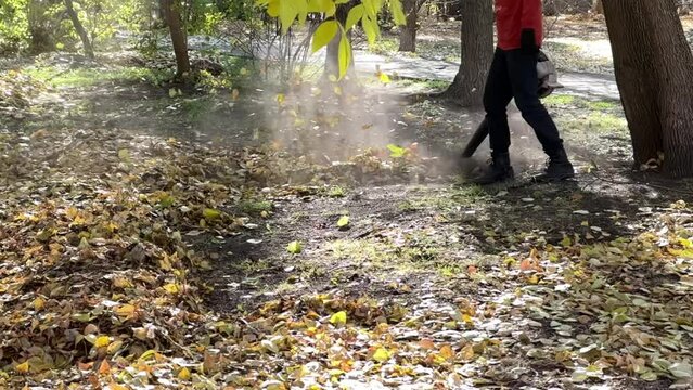 Slow motion. A man working with a blower while harvesting leaves in the park. Leaves rise and fall on the lawn on a sunny day. High quality FullHD footage