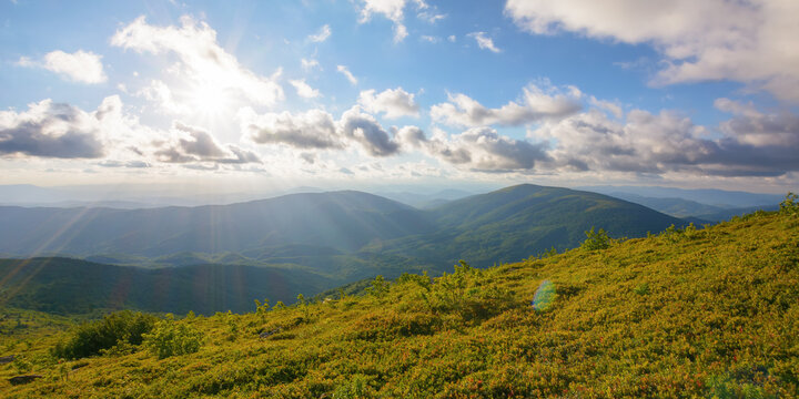 sunset scenery in carpathian mountains. grassy hill in evening light. view in to the distant valley beneath a gorgeous sky with fluffy clouds