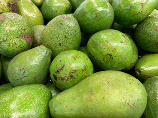 pile of avocados are displayed in a supermarket