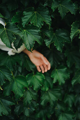 Girl Reading and Walking on Grass, Phone
