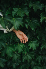 Girl Reading and Walking on Grass, Phone
