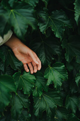 Girl Reading and Walking on Grass, Phone
