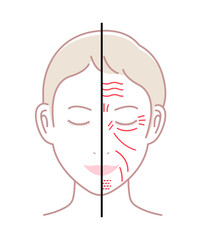 Facial wrinkles ( female face ) vector illustration / no text