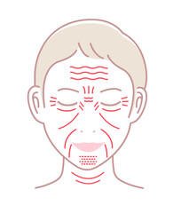 Facial wrinkles ( female face ) vector illustration / no text