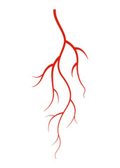 Human veins. Red silhouette vessel, arteries or capillaries on white background. Concept anatomy element for medical science. isolated symbol of blood system
