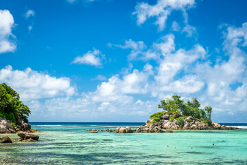 Fototapeta premium Paradise tropical beach with palm trees and turquoise water. Mahe Island, Seychelles. Anse Forbans Beach