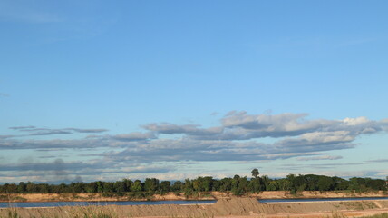 landscape with trees and blue sky