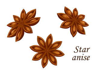 Star anise vector food spice, seasoning or condiment. Brown seeds and star shaped fruits of anise or badian spicy plant. Aromatic ingredients or natural flavor of indian and chinese cuisine