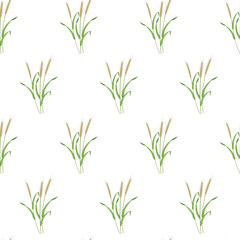 Botanical seamless background. Rye pattern on white background. Texture from cereal plants for decorating kitchen tablecloths, packaging for baking, bread.