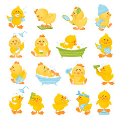 Cute Yellow Chicken Character Grooming and Bathing Big Vector Set