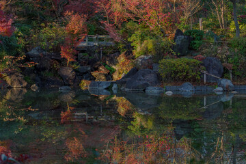 池の水面に紅葉のカラフルな色が落ちる